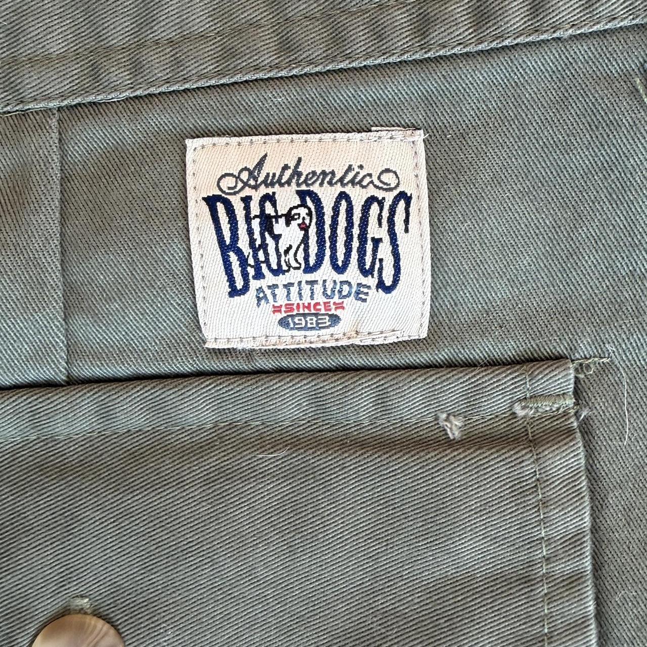 Big Dogs Men's green khaki Shorts