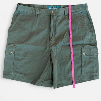 Big Dogs Men's green khaki Shorts