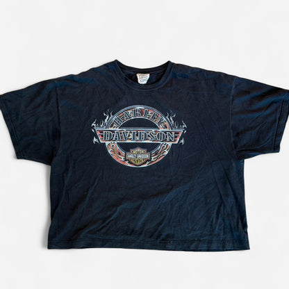 Harley Davidson Men's black T-shirts